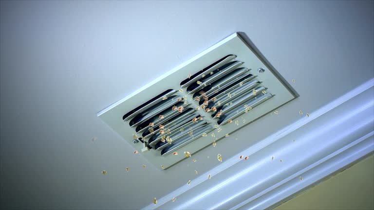 Best Emergency Air Duct Cleaning  in Kimberling City, MO