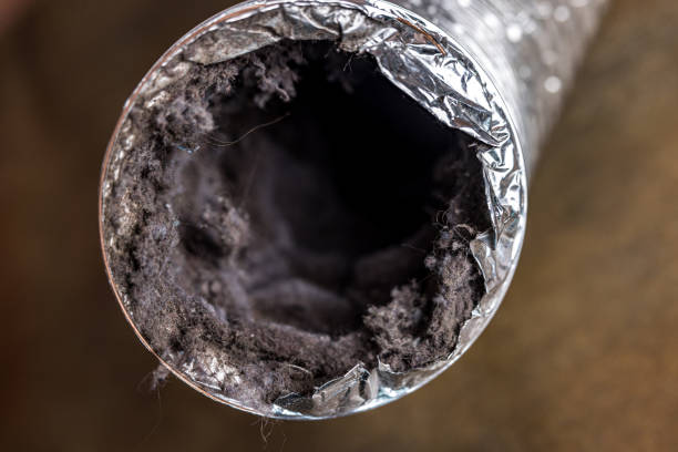 Best Ventilation Cleaning Services  in Kimberling City, MO